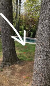 Broken Pool Main Drain Repair